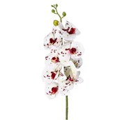 Balony i akcesoria - Storczyk silikonowy biały ozdobny dekoracyjny 95cm - miniaturka - grafika 1