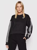 Bluzy damskie - Adidas Bluza adicolor Classics HC2064 Czarny Relaxed Fit - miniaturka - grafika 1