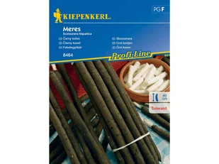 Skorzonera Meres 8464 (ST) - Nasiona i cebule - miniaturka - grafika 1