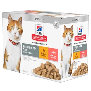 Hill`s Science Plan Zestaw Feline, 24 x 85 g - Young Adult Sterilised, kurczak i łosoś - Mokra karma dla kotów - miniaturka - grafika 2