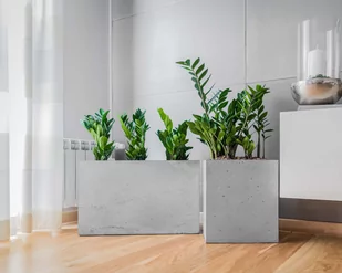 60x22x40 cm CT - Donica betonowa (szara) - Donice 60x22x40 cm CT - Donica betonowa (szara) - Donice - miniaturka - grafika 1