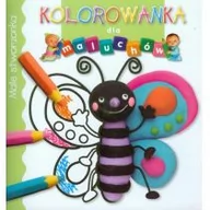 Kolorowanki, wyklejanki - Olesiejuk Sp. z o.o. Małe stworzonka Kolorowanka dla maluchów Belineau Nathalie - miniaturka - grafika 1