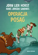 Powieści i opowiadania - Operacja Posąg Biuro Detektywistyczne Nr 2 Jorn Lier Horst - miniaturka - grafika 1