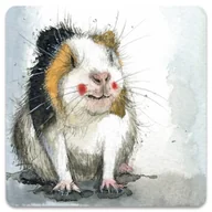 Magnesy - Magnes FM248 Świnka morska - Alex Clark - miniaturka - grafika 1