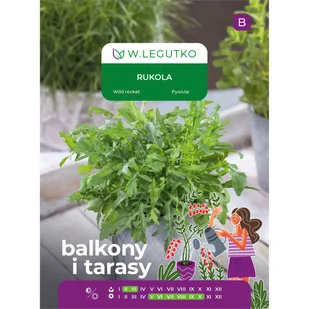 Rukola nasiona 2g W. Legutko - Nasiona i cebule - miniaturka - grafika 1
