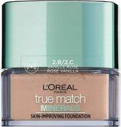 L'Oréal Paris Perfect Match Minerals wanilia 2R/2 °C, 10 ML A90318