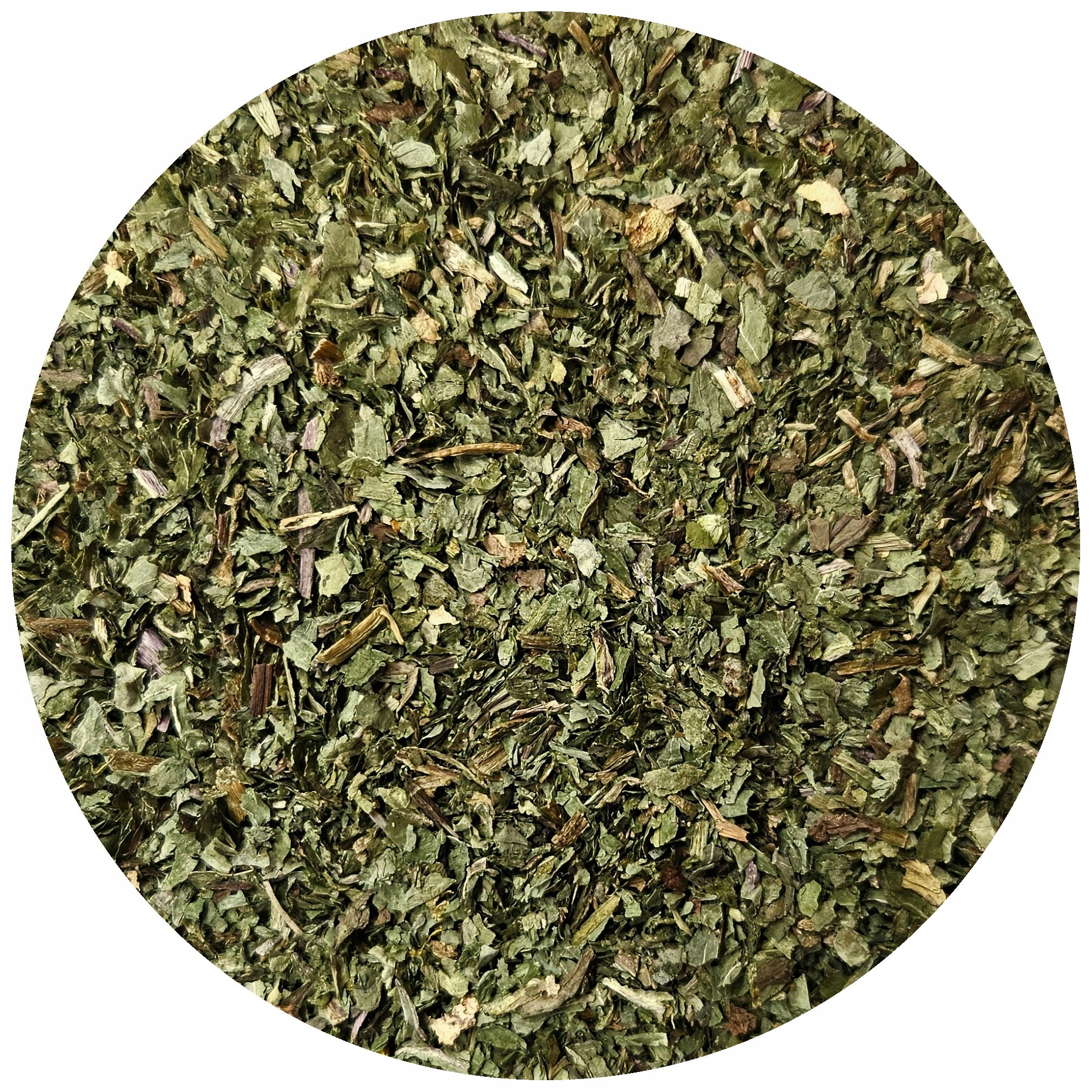 Mniszek lekarski Liść mniszka cięty Taraxacum officinale Mystic.Garden 1 kg