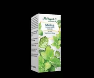 Suplementy naturalne - HERBAPOL KRAKÓW Herbapol Melisa z szyszką chmielu 30 tab HER868 - miniaturka - grafika 1