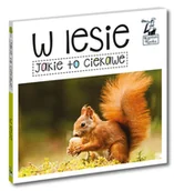 Książki edukacyjne - Książeczka Jakie to Ciekawe w Lesie Kapitan Nauka - miniaturka - grafika 1