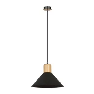 Emibig Rowen lampa wisząca 1-punktowa czarna 1044/1 1044/1 - Lampy sufitowe - miniaturka - grafika 1