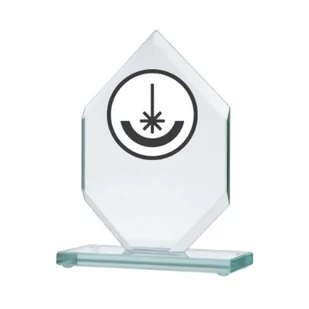 Trofeum szklane grawerowane - Gadżety dla kibiców - miniaturka - grafika 1