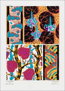 Vintage flower patterns, elegant Art Nouveau, E. A. Séguy -  plakat Wymiar do wyboru: 21x29,7 cm - Plakaty - miniaturka - grafika 1