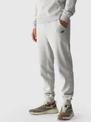 Spodnie męskie - Spodnie dresowe joggery męskie 4F 4FWMM00TTROM0942-27M Szary - miniaturka - grafika 1