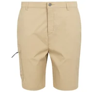 Spodenki męskie - Męskie szorty Regatta Dalry Short Rozmiar: L / Kolor: beżowy - miniaturka - grafika 1
