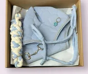 Maskotki i pluszaki - BŁĘKITNY BOX Z AKCESORIAMI DLA HOBBY HORSE A3 - miniaturka - grafika 1