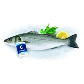 Konserwy i dania rybne - Labraks (okoń morski) cały świeży 300-400 g - miniaturka - grafika 1