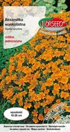 Nasiona i cebule - Nasiona Aksamitka wąskolistna pomarańczowa 0,5g - Torseed - miniaturka - grafika 1