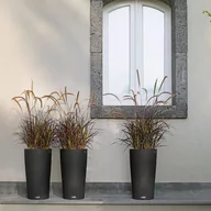 Pozostałe narzędzia ogrodowe - LECHUZA Donica CILINDRO Cottage 32 ALL-IN-ONE, śr. 32 cm, grafitowa - miniaturka - grafika 1