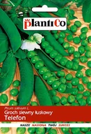 Nasiona i cebule - Groch Siewny Łuskowy Telefon 40g PlantiCo - miniaturka - grafika 1