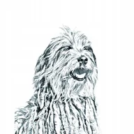 Lusterka do makijażu - Owczarek z Bergamo Lusterko kieszonkowe składane - miniaturka - grafika 1