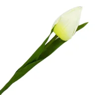 Sztuczne kwiaty - [w04033] Tulipan na gałązce 50cm kremowy - miniaturka - grafika 1