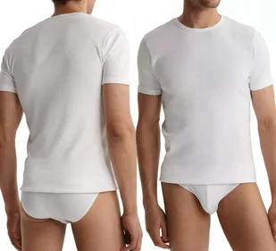 KOSZULKA MĘSKA T-SHIRT Atlantic BMV-048 podkoszulka 100% BAWEŁNA - M - Koszulki męskie KOSZULKA MĘSKA T-SHIRT Atlantic BMV-048 podkoszulka 100% BAWEŁNA - M - Koszulki męskie - miniaturka - grafika 1