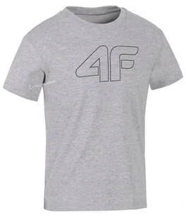 4F CHĹOPIÄCA KOSZULKA T-SHIRT BAWEĹNA / rozm 146 - Koszulki męskie 4F CHĹOPIÄCA KOSZULKA T-SHIRT BAWEĹNA / rozm 146 - Koszulki męskie - miniaturka - grafika 1