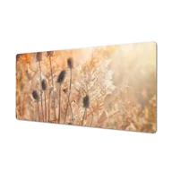 Podkładki na biurko - Podkładka z winylu na biurko Poranek natura trawy, ArtprintCave - miniaturka - grafika 1