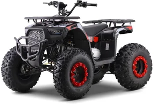 Pojazd Quad Spalinowy 200CC MONSTER Czerwony EDUKAMP - Zabawki zdalnie sterowane - miniaturka - grafika 1