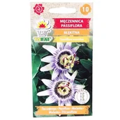 Nasiona i cebule - MĘCZENNICA BŁĘKITNA nasiona Toraf 0,2g - Passiflora biało-niebieska - miniaturka - grafika 1