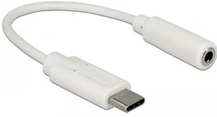 Delock Adapter USB-C - 3.5 mm miniJack 65913 - Adaptery i przejściówki - miniaturka - grafika 1