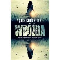 Wróżda - Thrillery - miniaturka - grafika 1
