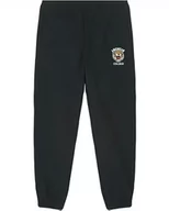 Spodnie sportowe męskie - AMERICAN COLLEGE USA Spodnie dresowe męskie, czarny, M - miniaturka - grafika 1