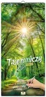Kalendarze - Kalendarz 2026 paskowy szeroki tajemniczy las - miniaturka - grafika 1