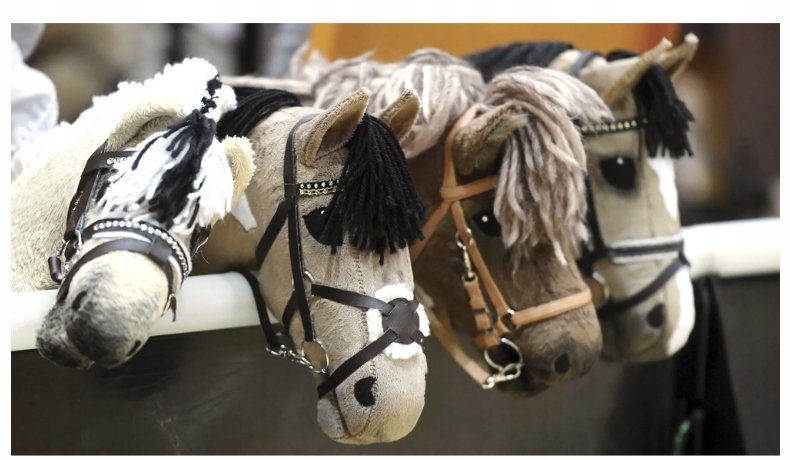 PUZZLE HOBBY HORSE KONIE KOŃ A3 252 el z Nadrukiem + IMIĘ Pudełko #59