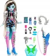 Lalki dla dziewczynek - Monster High Frankie Stein Zestaw Lalka Laleczka Akcesoria Dla Dziewczynek - miniaturka - grafika 1