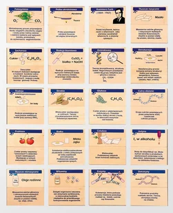 Pilch, gra edukacyjna Chemiczne Memory Między Chemią, A Biologią - Gry planszowe - miniaturka - grafika 1