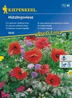 Nasiona i cebule - Kiepenkerl Łąka kwiatowa dla pożytecznych owadów Nutzlingswiese Kiepenkerl 102621 - miniaturka - grafika 1