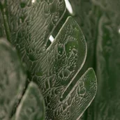 Sztuczne kwiaty - KWIAT LIŚĆ 41 DŁ.56 CM DŁ. LIŚĆ 22 CM CIEMNOZIELONY - miniaturka - grafika 1