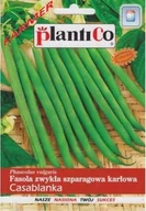 Nasiona i cebule - Plantico Fasola szparagowa Casablanka zielona - miniaturka - grafika 1