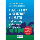 Felietony i reportaże - Algorytmy w służbie klimatu, czyli sekrety globalnego ocieplenia - miniaturka - grafika 1
