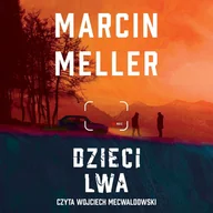 Audiobooki - kryminał, sensacja, thriller - Dzieci lwa - miniaturka - grafika 1