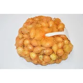 Nasiona i cebule - Cebula dymka Sturon 250g - miniaturka - grafika 1