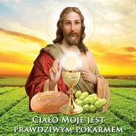 Ikony i obrazy sakralne - Baner religijny, symbole eucharystyczne "Ciało Moje jest Prawdziwym Pokarmem" 150x150 cm - miniaturka - grafika 1