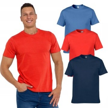 3x Koszulka Męska T-shirt Bawełniane Basic Gładkie Klasyczna Moraj r. L mix