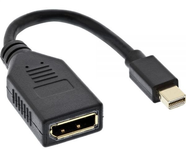 InLine DisplayPort Mini - DisplayPort czarny 17150S