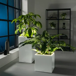 Donica Lechuza CANTO Premium Kolumna 40 LED biały połysk - Donice Donica Lechuza CANTO Premium Kolumna 40 LED biały połysk - Donice - miniaturka - grafika 5