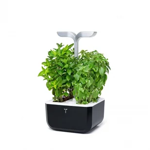 Veritable Doniczka Exky Smart Soft Black - Systemy inteligentnych domów - miniaturka - grafika 1