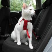Szelki dla kotów - Trixie szelki samochodowe dla kota - Czerwone - miniaturka - grafika 1