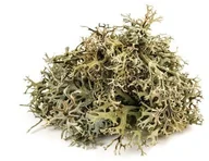 Pasze dla zwierząt - EQUIHERBS Porost islandzki (płucnica islandzka) 0,5 kg - miniaturka - grafika 1